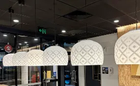 3d printed light