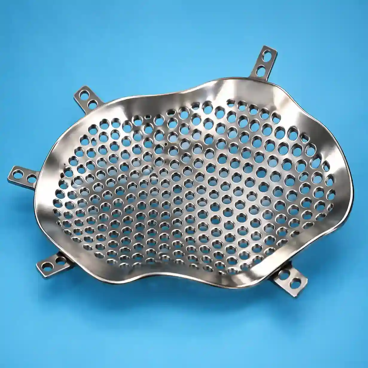 Cranial titanium implant case study image